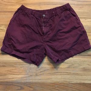 Chubbies Shorts
